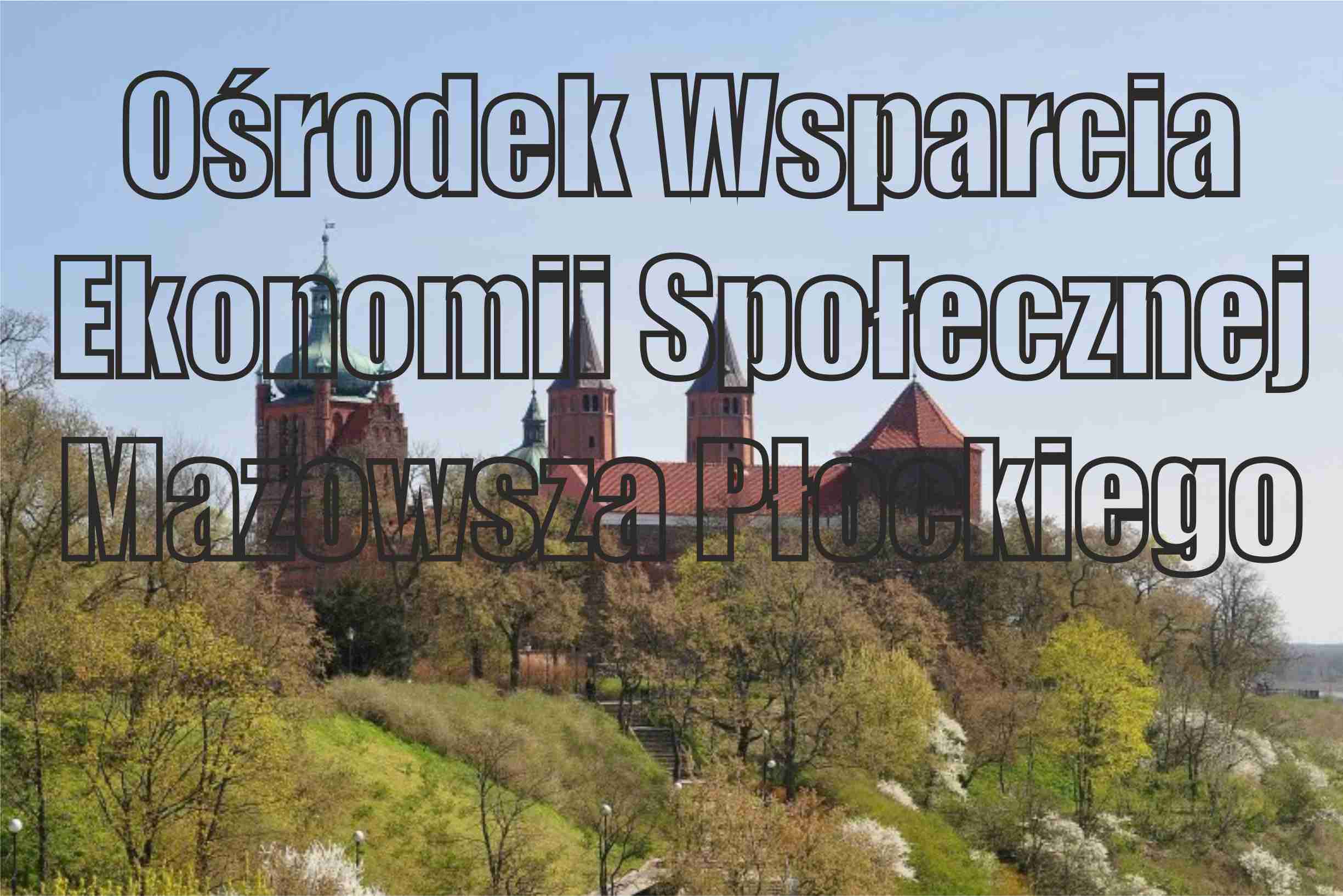 Ekonomia społeczna w UE, Polsce i na Mazowszu Płockim