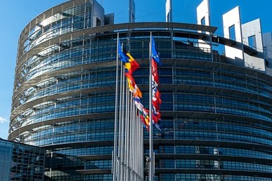 Zalecenia Rady UE dla ES